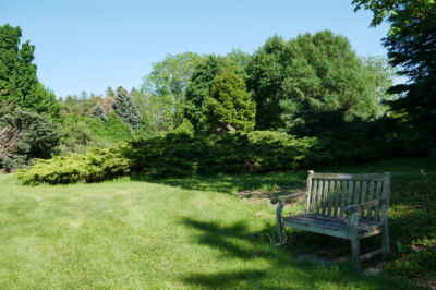 The Arboretum at U of G Helps Kids Learn About Native Trees