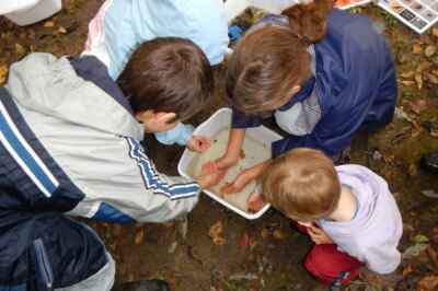 U of G Arboretum Launching Virtual ‘Nature with the Family’ Series