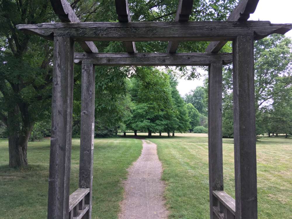Arboretum trail through pergola