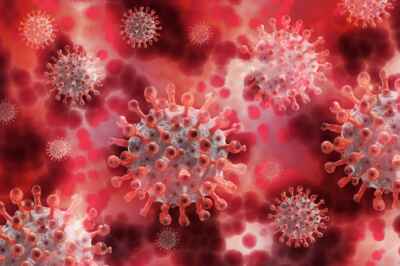 Webinar to Examine Latest Science on COVID-19 Virus