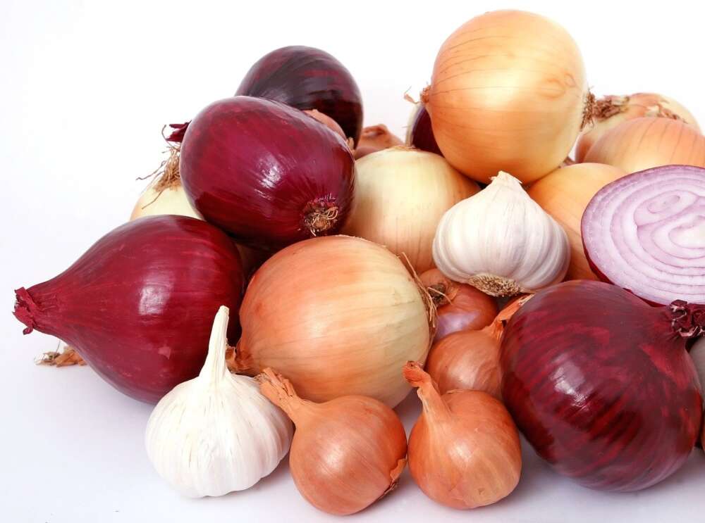 REd and yellow onions, garlic bulbs