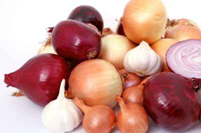 U of G Experts Discuss Salmonella in Onions
