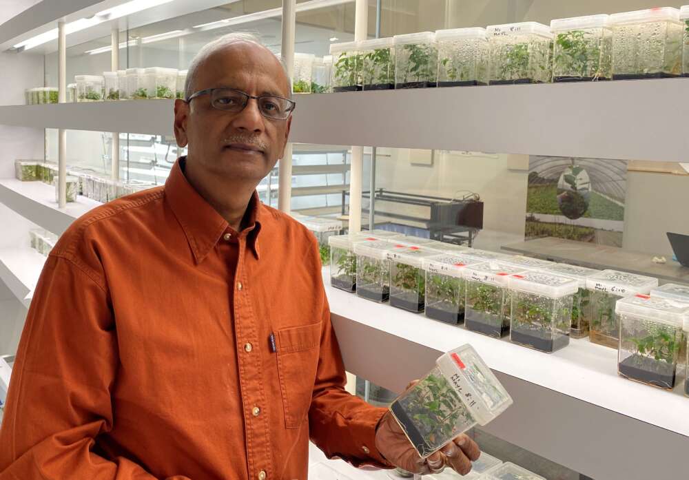 Prof. Praveen Praxena