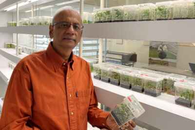 New Funding to Help U of G Researchers Ward Off Threats to Plant Biodiversity