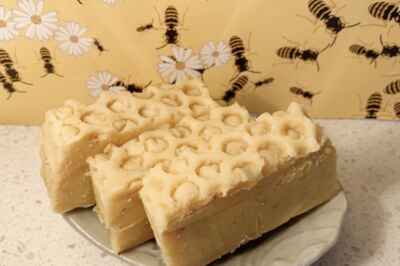 New U of G Course Transforming Students into Entrepreneurs