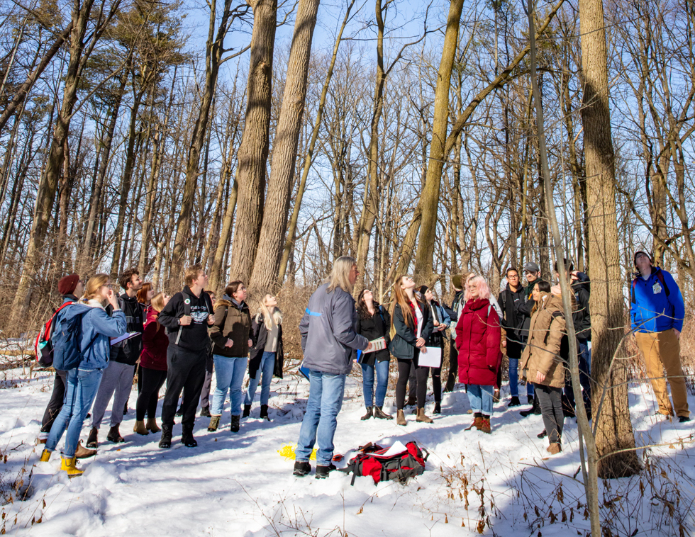 Students in outdoor learning environment