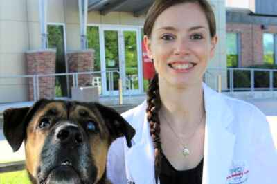 New U of G Professorship Focuses on Companion Animal Nutrition