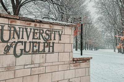 U of G Appoints New AVP Planning, Data and Budget