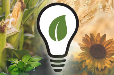 Plant-Based Dietary Supplements, Cream and Yogourt Take Top Spots at Project SOY Plus