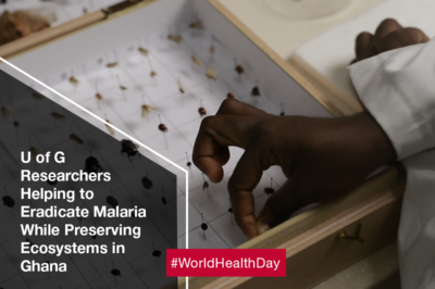 Insect Barcoding Project Helps to Combat Malaria in Africa