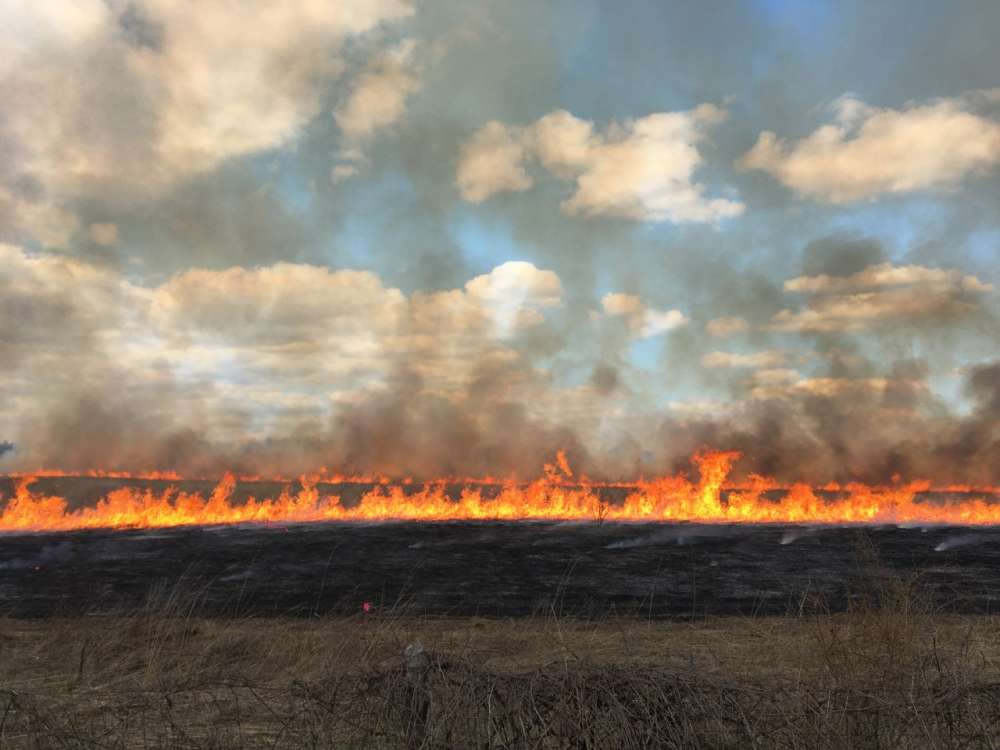 fire covering the horizon of the prairie with a blue sky and clouds in the back ground