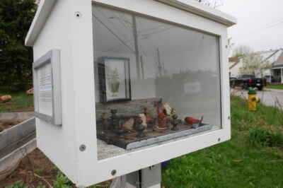 U of G Prof Leads Outdoor Box-Art Project