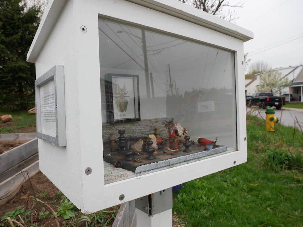Box art at community garden