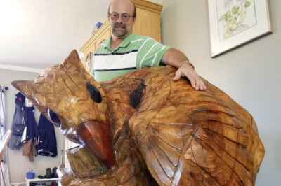 Giant Maple Stump Becomes Gryphon Keepsake for U of G Professor
