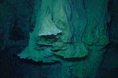 U of G Research on Microbes Within Seabed Gives Insight to Unknown Habitat, Life on Other Planets