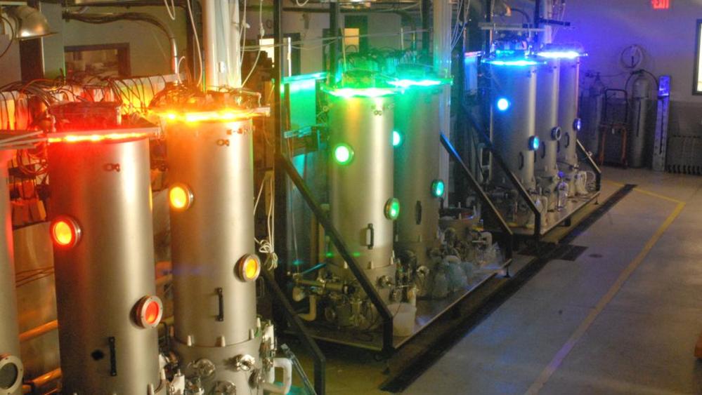 U of G Professor to Help Judge Canadian Space Agency’s Deep Space Food