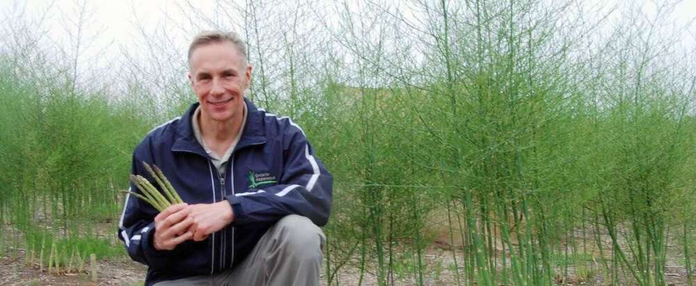 Dr. David Wolyn holds asparagus stalks while crouching in a field of asparagus in flower.