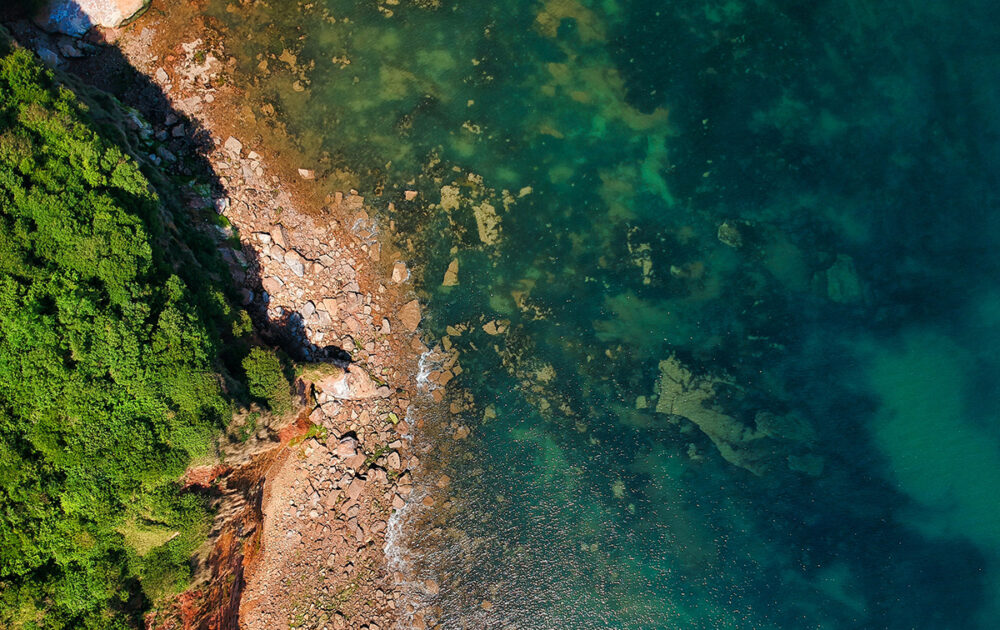 Shoreline with algal bloom growing along it