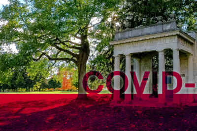 COVID-19 Update: Isolation requirements, Exam season and more