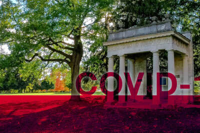 COVID-19 Update: Reporting an illness, Updated masks, and more