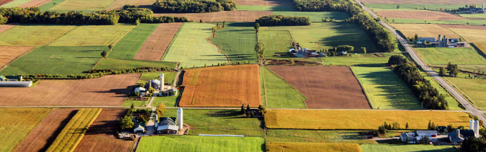 A patchwork of fields is shown in this aerial view of the Waterloo Region
