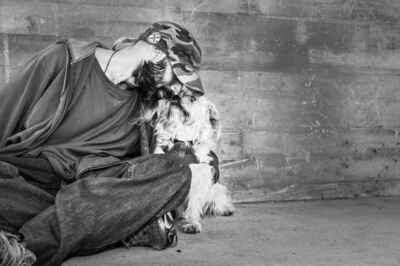 Pets of Homeless Are in Good Health, New U of G-Led Study Finds