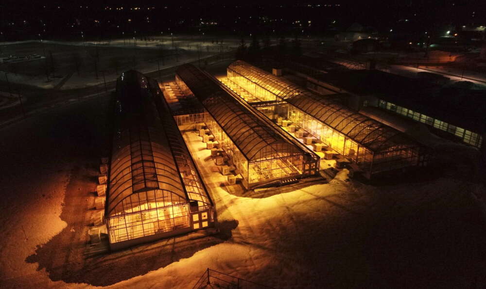 nighttime photo of illuminated greenhouse from above