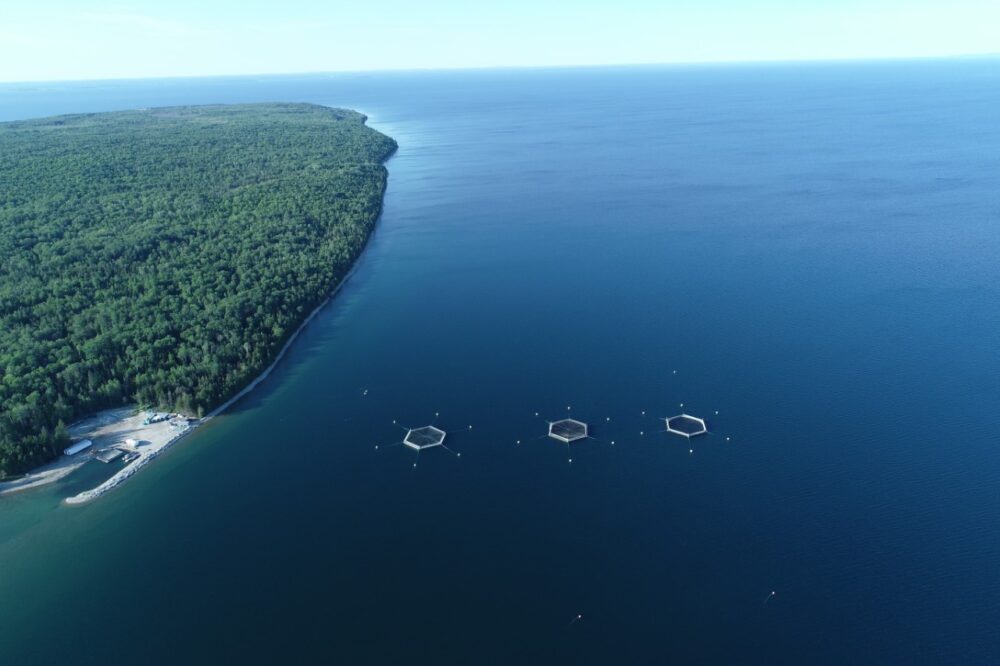 aerial image of blue Lake Huron and a tree covered coast with three circular nets sitting in a row in the middle of water