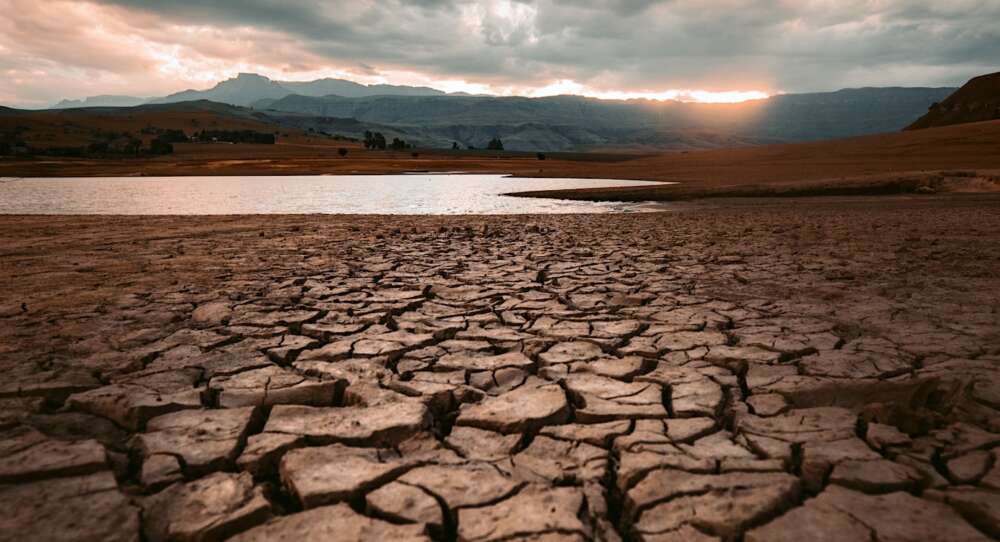 The cracked earth of a nearly dry lake