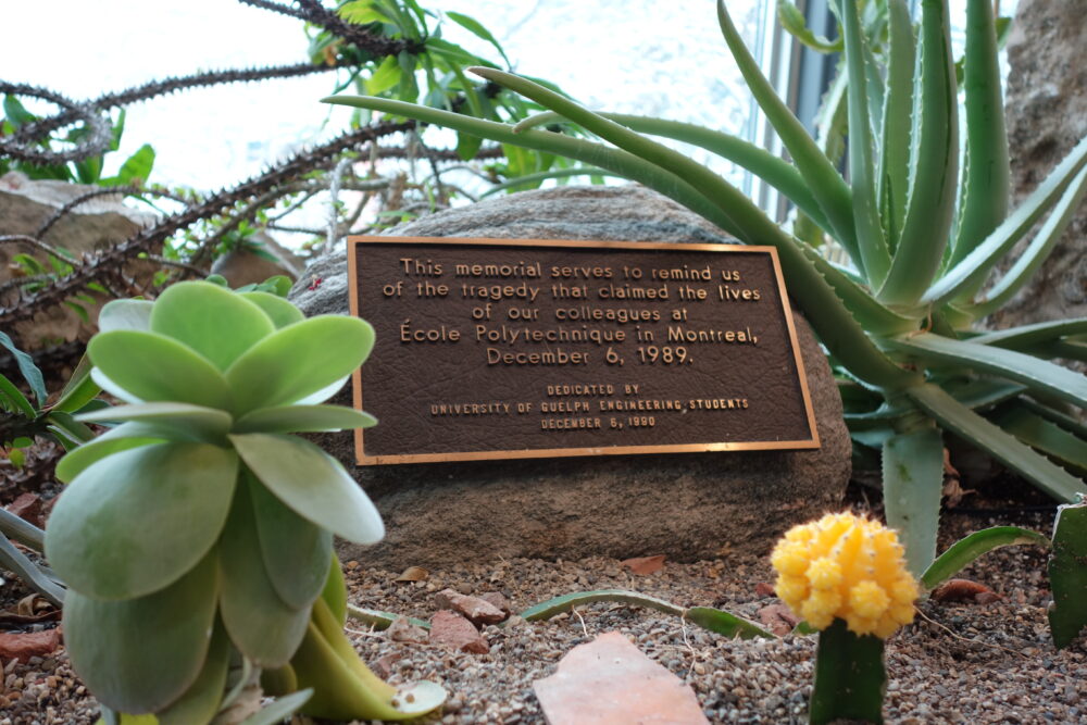 an image of a plaqued centred with words that speak to the rememberance of the women killed on Dec. 6. There are cacti and plants around the plaque