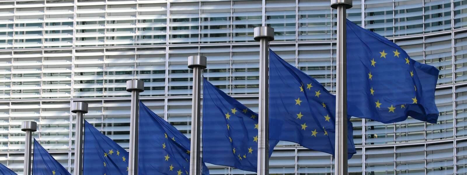 European Union (EU) flags (blue with yellow stars in a circle in the centre) fly in front of an office building.