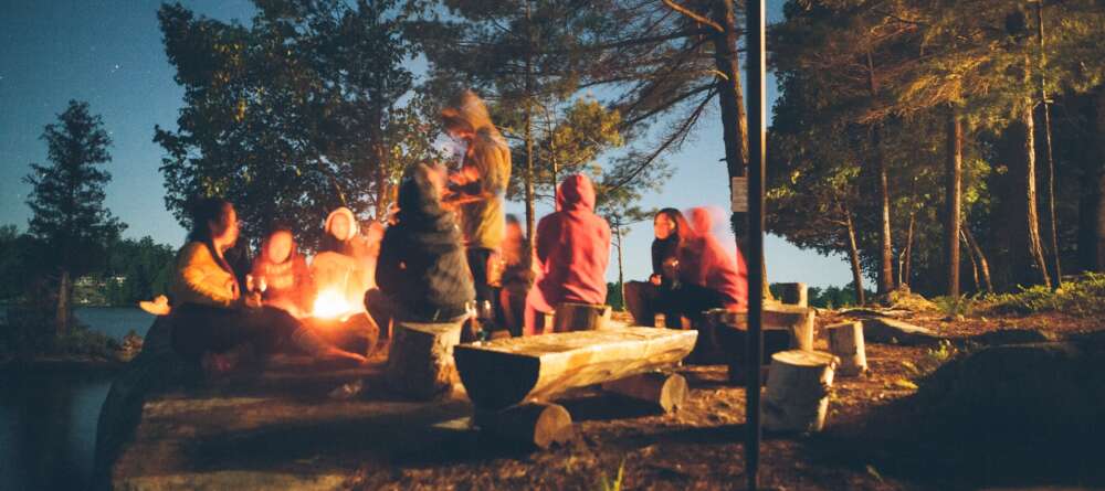 group of people near a campfire near trees during nighttime