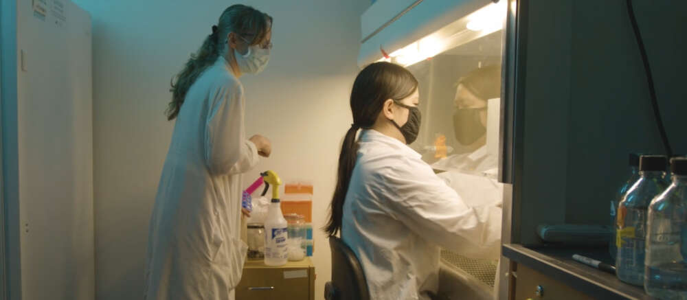 Dr. Sarah Wootton in white labcoat with one other person in the lab.