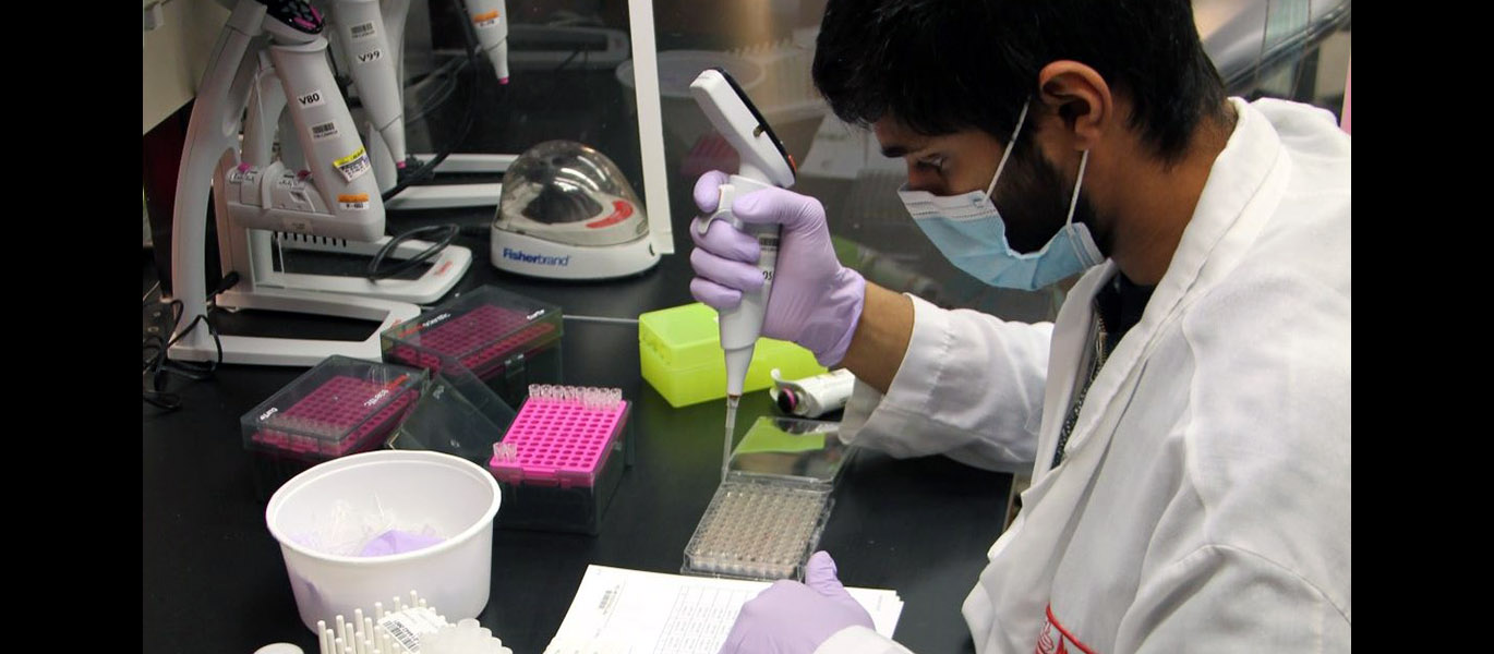 A lab worker uses a pipette to pull samples into a tray
