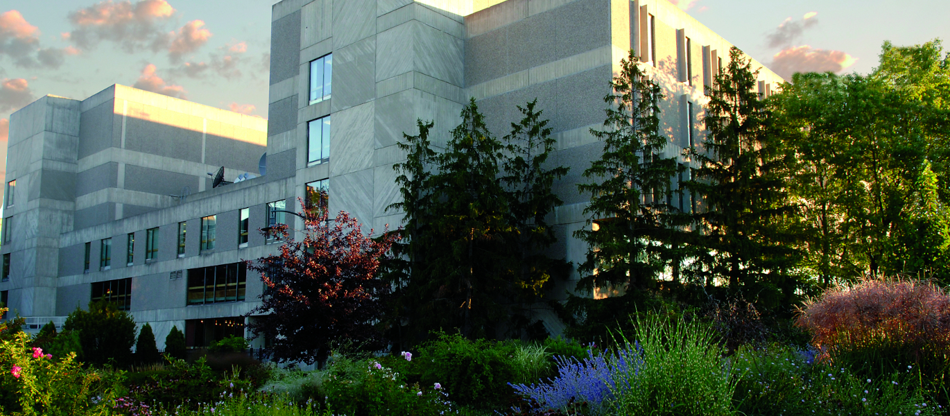 The exterior of the University Centre building surrounded by trees and bushes