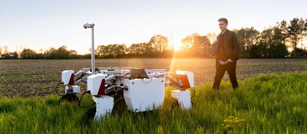 man in brown shirt standing on green grass field during sunset