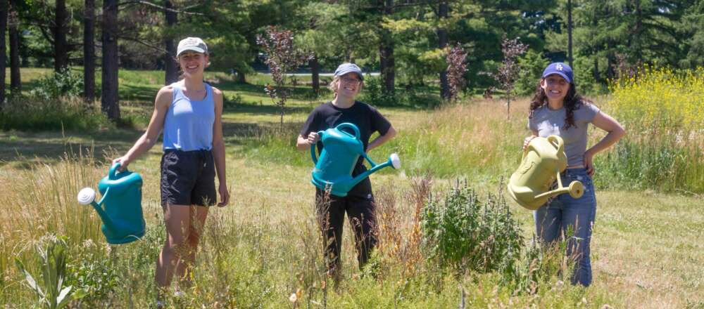Three volunteers holding watering cans pose for a photo in a garden.