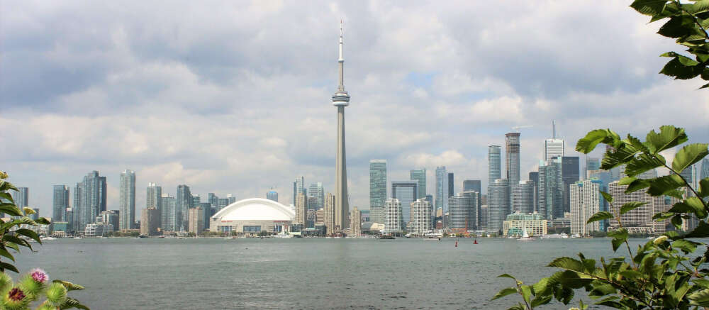 A wide angle view of the downtown toronto skyline from across teh lake