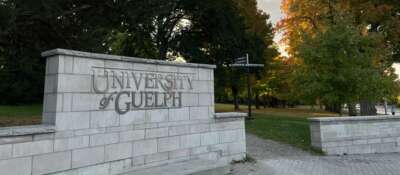 Police Investigating Statue Theft from Art Gallery of Guelph on Campus