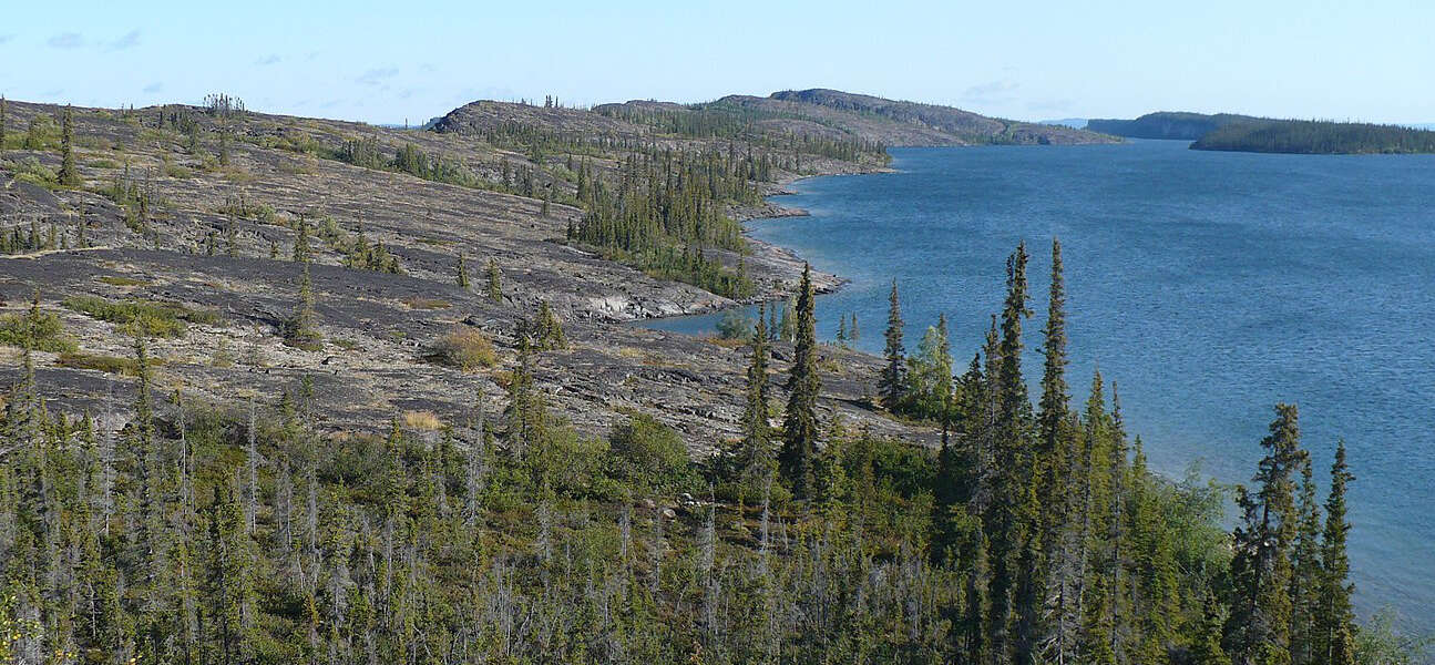 an image of forest around a lake on the Canadian Shield