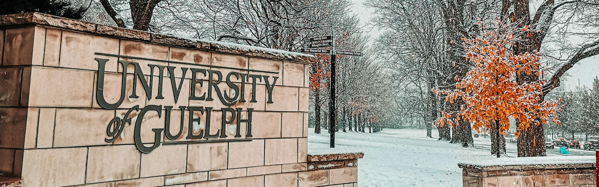 A beige stone sign that says "University of Guelph" in the forefront. Behind it is a snowy, treed field.