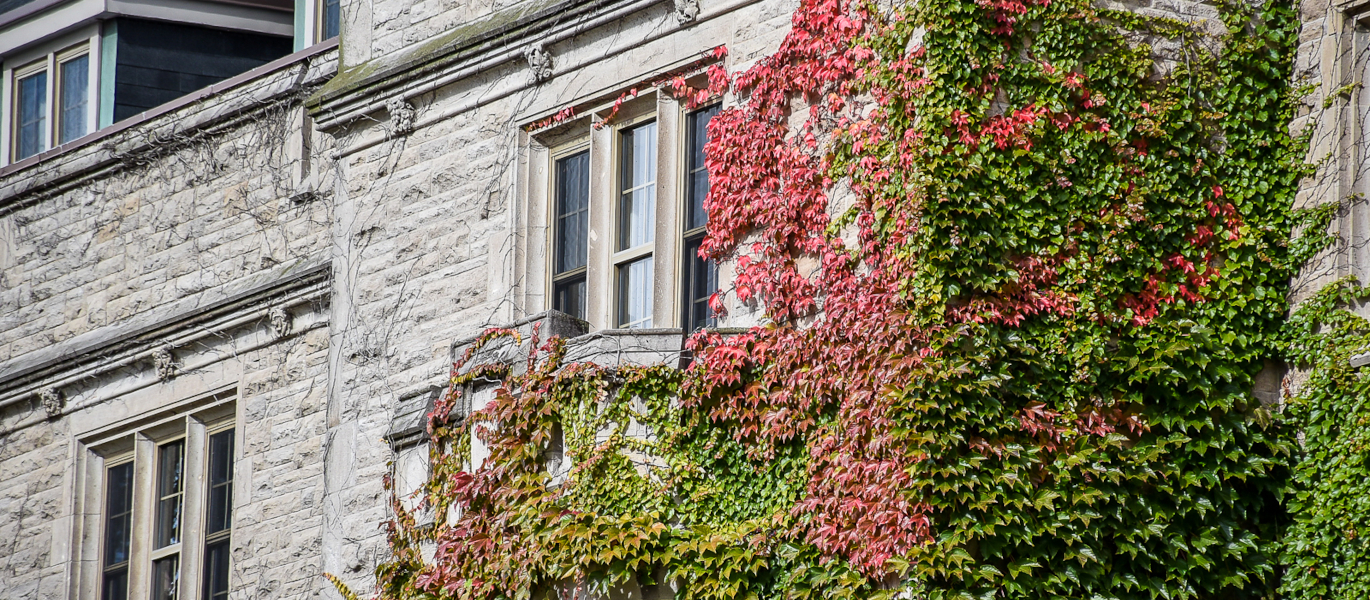 Red and green ivy on Johnston Hall