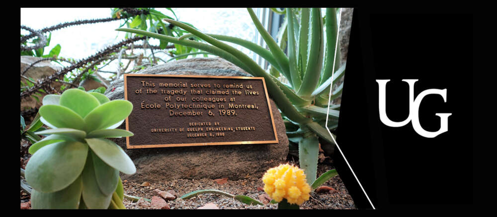 A bronze plaque dedicated by U of G Engineering students sits amid cacti in a light-filled garden
