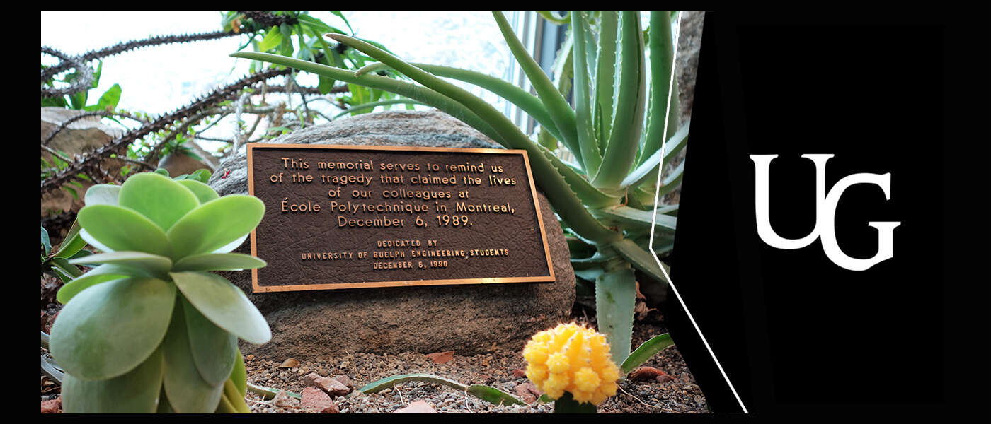 A bronze plaque dedicated by U of G Engineering students sits amid cacti in a light-filled garden