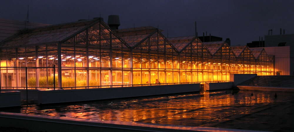 Glass buildings glowing yellow at night