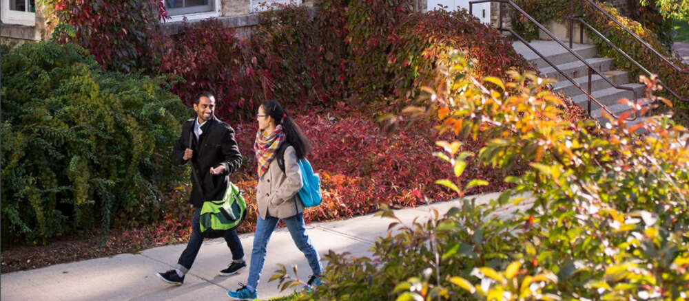 Students walking on campus in fall