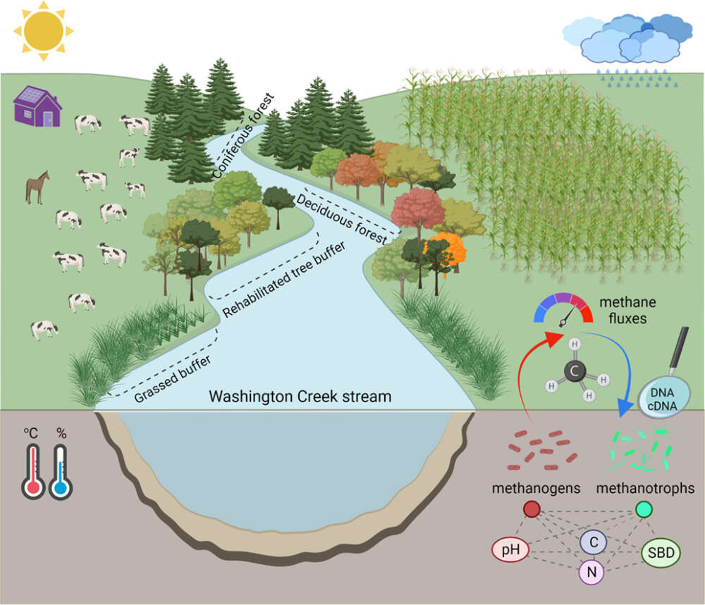 Soil Microbes Contribute to Climate Change, New U of G Research Finds