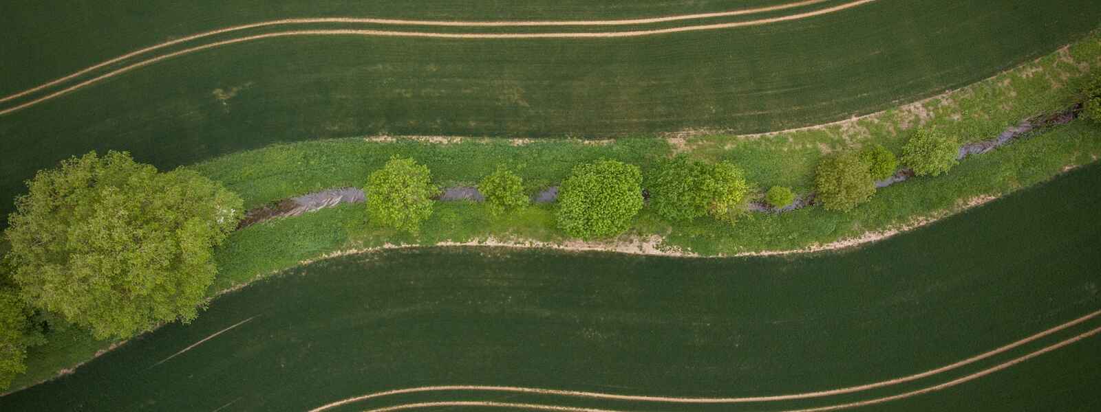An aerial view photo of a creek, trees and fields
