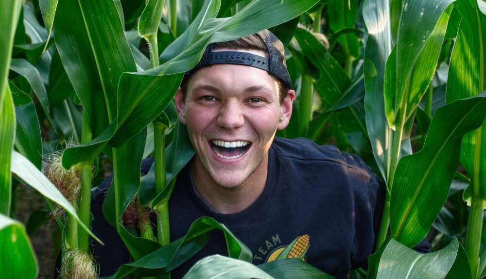 A smiling person in a blue shirt and blue backward ball cap is pictured among tall, green stalks of corn.