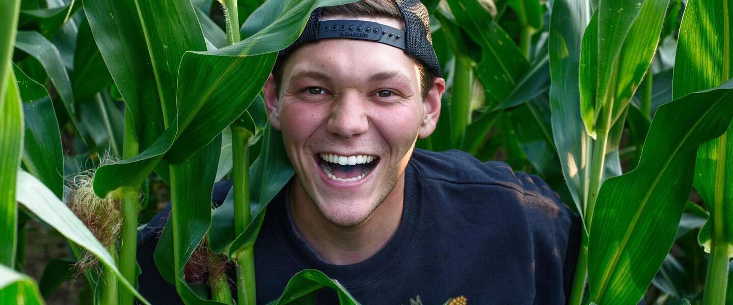 A smiling person in a blue shirt and blue backward ball cap is pictured among tall, green stalks of corn.
